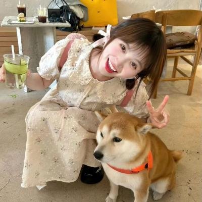 谁说我结不了婚