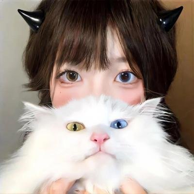 行尸走肉第六季